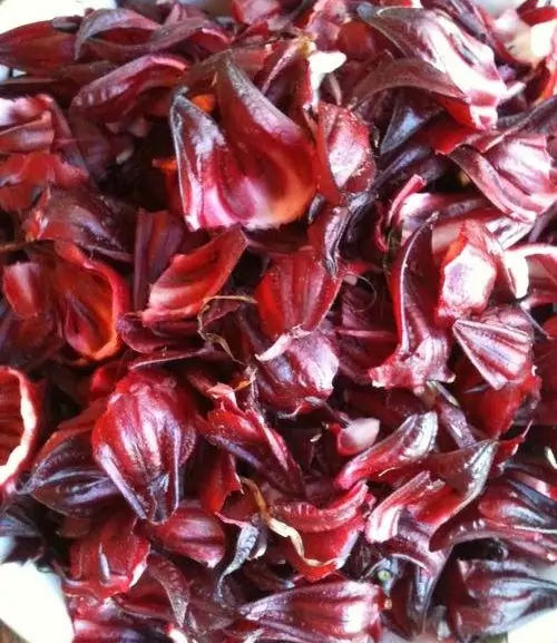 sorrel trini drink