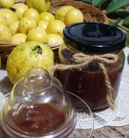 Guava 1