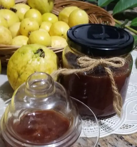 Guava 1