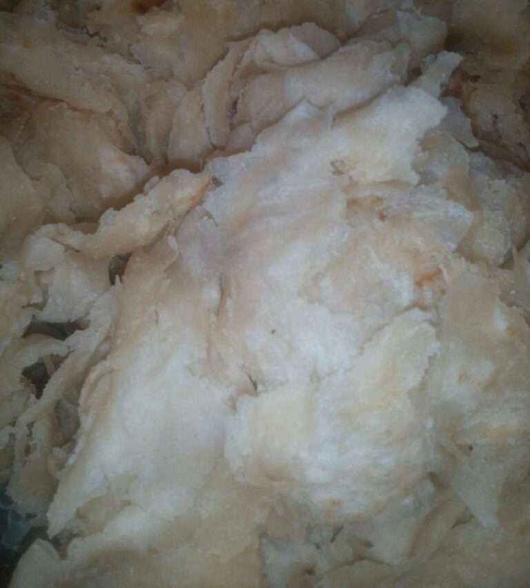 Guyanese roti
