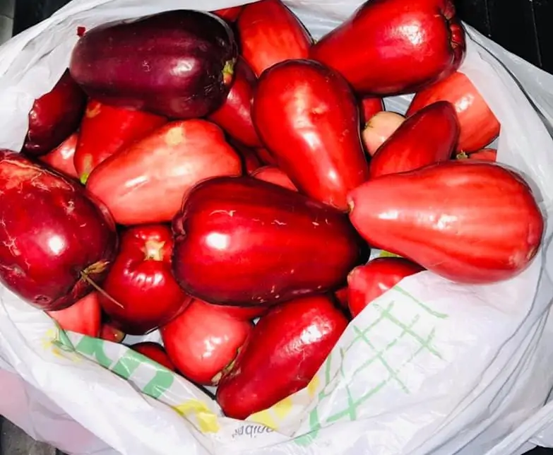 Otaheite Apple