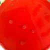 Roucou Liquid