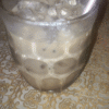 brown cow