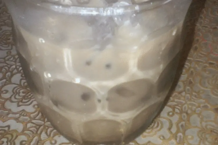 brown cow